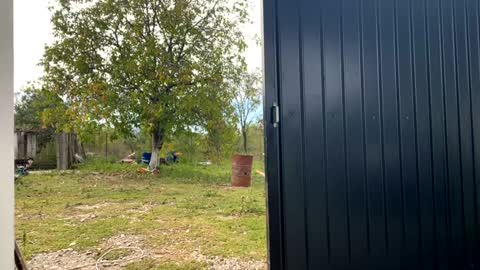 Nicol online show from September 19, 2025, 7:21 am