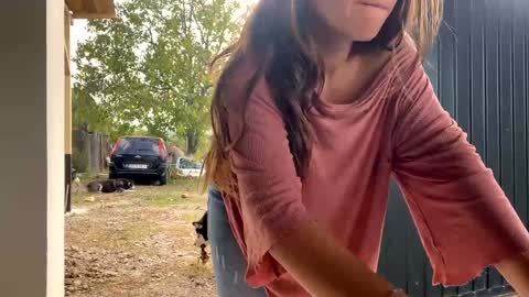 Nicol online show from September 30, 2025, 11:48 am