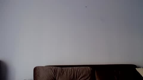 Snapshot of o_r_b_i_t chatting on December 19, 2024, 1:29 pm o_r_b_i_t online show from December 19, 2024, 1:29 pm