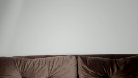 Snapshot of o_r_b_i_t chatting on January 21, 2025, 2:15 pm o_r_b_i_t online show from January 21, 2025, 2:15 pm