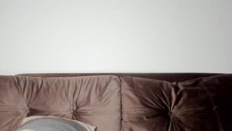 Snapshot of o_r_b_i_t chatting on January 31, 2025, 4:06 pm o_r_b_i_t online show from January 31, 2025, 4:06 pm