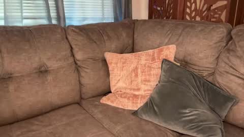 Snapshot of officiallyonlytams chatting on September 9, 2025, 3:11 pm Tams online show from September 9, 2025, 3:11 pm