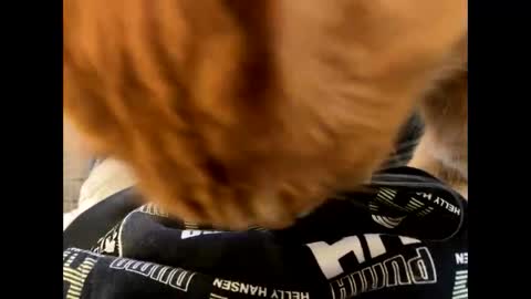 oggs48 online show from October 21, 2025, 11:22 am