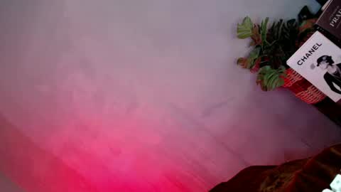 Snapshot of oh_my_bonita chatting on January 24, 2025, 5:00 pm Flora online show from January 24, 2025, 5:00 pm