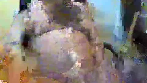 Snapshot of oily27 chatting on November 2, 2025, 5:26 pm William online show from November 2, 2025, 5:26 pm