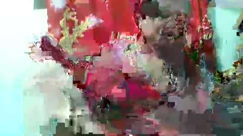 olgaaldy online show from November 20, 2025, 8:03 am