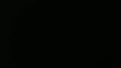 Snapshot of olli_5 chatting on February 13, 2025, 11:17 am olli_5 online show from February 13, 2025, 11:17 am