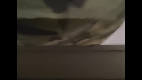 Snapshot of oneeyesnake1843142 chatting on October 12, 2025, 1:21 pm oneeyesnake1843142 online show from October 12, 2025, 1:21 pm