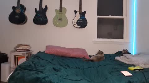 Duo online show from March 12, 2025, 2:52 am