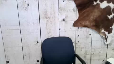 Snapshot of openmindedcowboy chatting on February 22, 2025, 11:35 pm kinkynerd online show from February 22, 2025, 11:35 pm