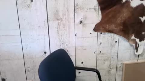 Snapshot of openmindedcowboy chatting on November 1, 2025, 3:25 pm kinkynerd online show from November 1, 2025, 3:25 pm