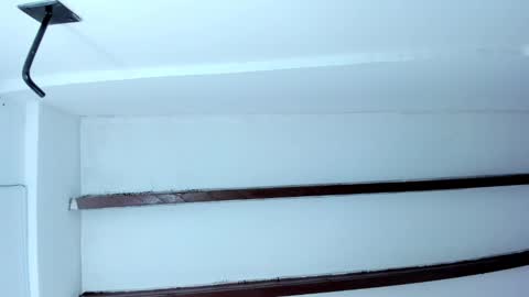 Miss Guzman  online show from January 23, 2025, 11:15 am