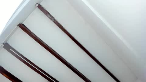 Miss Guzman  online show from January 29, 2025, 5:45 pm