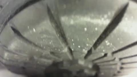 Snapshot of pablomenesssl chatting on January 24, 2025, 4:49 pm Pablo Meness online show from January 24, 2025, 4:49 pm