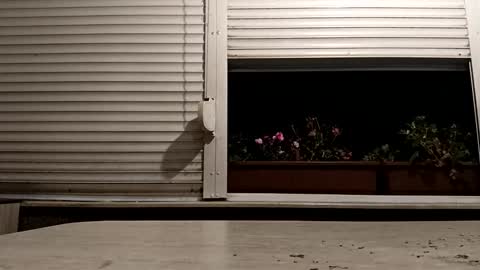 angel hris online show from November 16, 2025, 4:23 pm