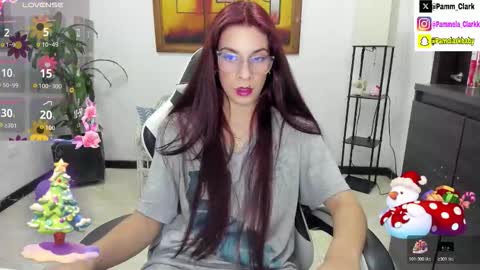 Snapshot of pammelaclark chatting on November 6, 2025, 2:34 am pammela clark online show from November 6, 2025, 2:34 am