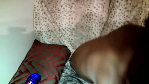 Snapshot of parlaytellio chatting on December 30, 2024, 11:49 pm Parlay Tellio online show from December 30, 2024, 11:49 pm