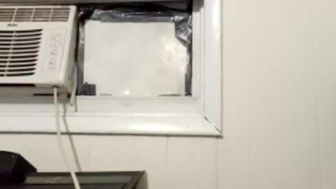 Snapshot of pato0008 chatting on March 1, 2025, 10:13 am JD online show from March 1, 2025, 10:13 am