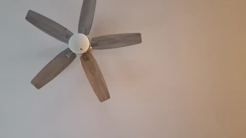 Snapshot of patrick247288 chatting on January 12, 2025, 9:40 pm patrick247288 online show from January 12, 2025, 9:40 pm