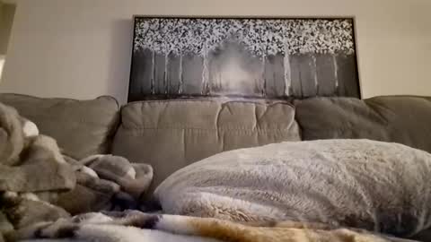 Snapshot of patrick247288 chatting on February 12, 2025, 12:22 pm patrick247288 online show from February 12, 2025, 12:22 pm