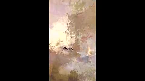 Snapshot of patrickalan2 chatting on December 14, 2025, 2:50 am patrickalan2 online show from December 14, 2025, 2:50 am