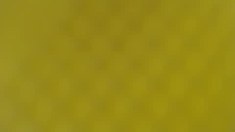 patty squirt87 online show from February 19, 2025, 5:49 am