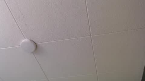 Snapshot of paul_evanss chatting on October 20, 2025, 1:00 pm Paul online show from October 20, 2025, 1:00 pm