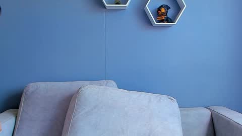 Paul Phoenix online show from January 13, 2025, 8:15 pm