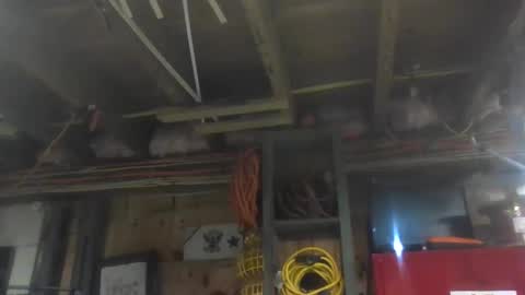 Snapshot of paulstetson chatting on December 20, 2024, 10:43 pm paulstetson online show from December 20, 2024, 10:43 pm