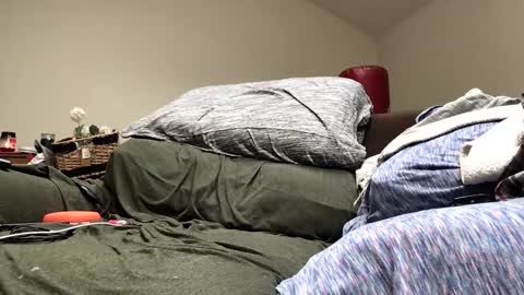 Snapshot of pduke81 chatting on December 16, 2024, 7:00 pm Hung sung Hero online show from December 16, 2024, 7:00 pm