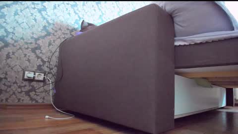 Snapshot of perfectdate chatting on December 10, 2024, 9:01 am Anna online show from December 10, 2024, 9:01 am