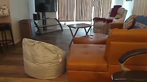 perfecto1957 online show from February 13, 2025, 4:39 pm