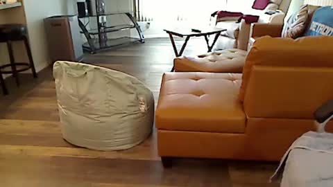 perfecto1957 online show from March 4, 2025, 2:21 pm