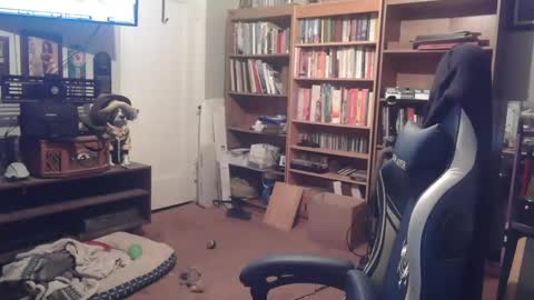 peterinohio57 online show from October 22, 2025, 11:43 am