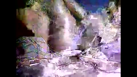 peterson1978 online show from November 8, 2025, 8:07 pm