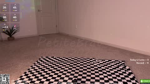 Snapshot of petitebrat chatting on November 5, 2025, 12:54 am PiperAvery online show from November 5, 2025, 12:54 am