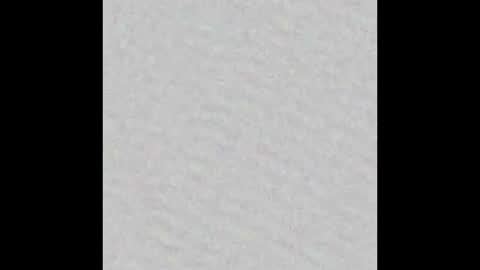 Snapshot of peytonn_monroe chatting on October 3, 2025, 12:13 pm peytonn_monroe online show from October 3, 2025, 12:13 pm