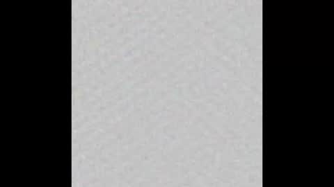 Snapshot of peytonn_monroe chatting on October 31, 2025, 12:06 pm peytonn_monroe online show from October 31, 2025, 12:06 pm