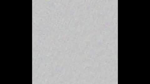 Snapshot of peytonn_monroe chatting on November 18, 2025, 12:20 pm peytonn_monroe online show from November 18, 2025, 12:20 pm