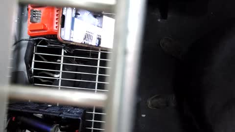 Snapshot of pickleback69 chatting on September 21, 2025, 7:43 am pickleback69 online show from September 21, 2025, 7:43 am