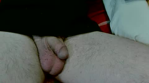 Snapshot of pinewoodman chatting on January 6, 2025, 2:48 am pinewoodman online show from January 6, 2025, 2:48 am