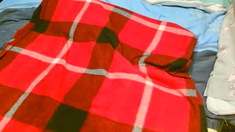 Snapshot of pinewoodman chatting on November 10, 2025, 7:07 am pinewoodman online show from November 10, 2025, 7:07 am