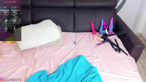 Snapshot of pinkslobber chatting on January 16, 2025, 2:51 am Helen Goat online show from January 16, 2025, 2:51 am