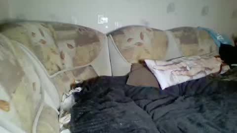 Incubus online show from January 3, 2025, 12:43 am