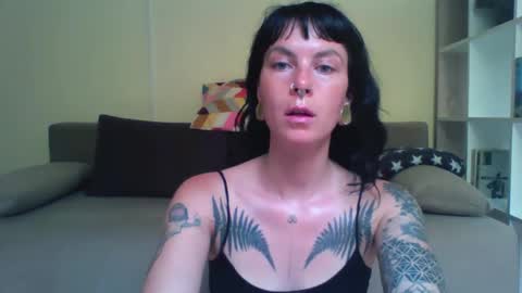 Snapshot of pixiecatfairy chatting on October 6, 2025, 10:45 am pixiecatfairy online show from October 6, 2025, 10:45 am