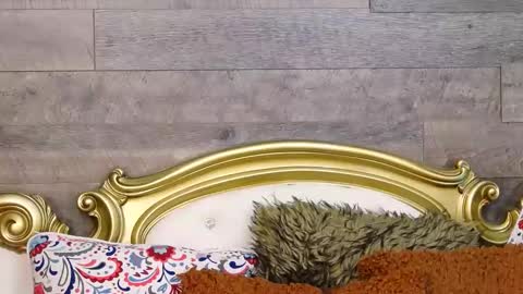 PlayfulSamy online show from December 12, 2024, 10:02 am