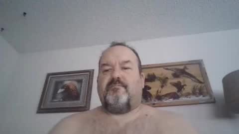 polarisman74 online show from January 12, 2025, 7:42 pm