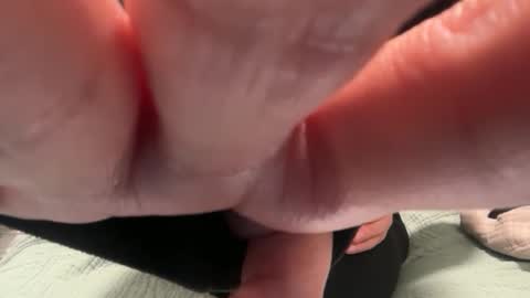 Polly Pocket online show from November 10, 2025, 2:10 am