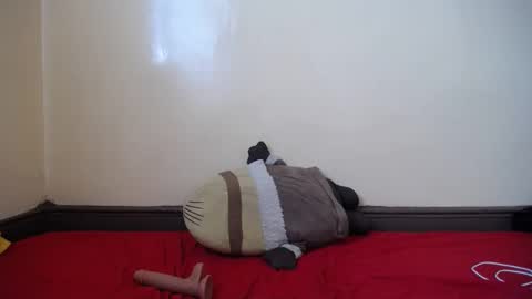 Snapshot of popetykely00 chatting on February 18, 2025, 8:38 am popetykely00 online show from February 18, 2025, 8:38 am