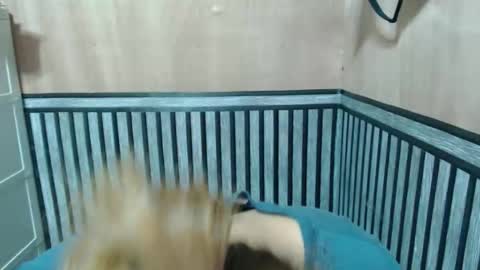 Kate online show from December 2, 2025, 9:14 am